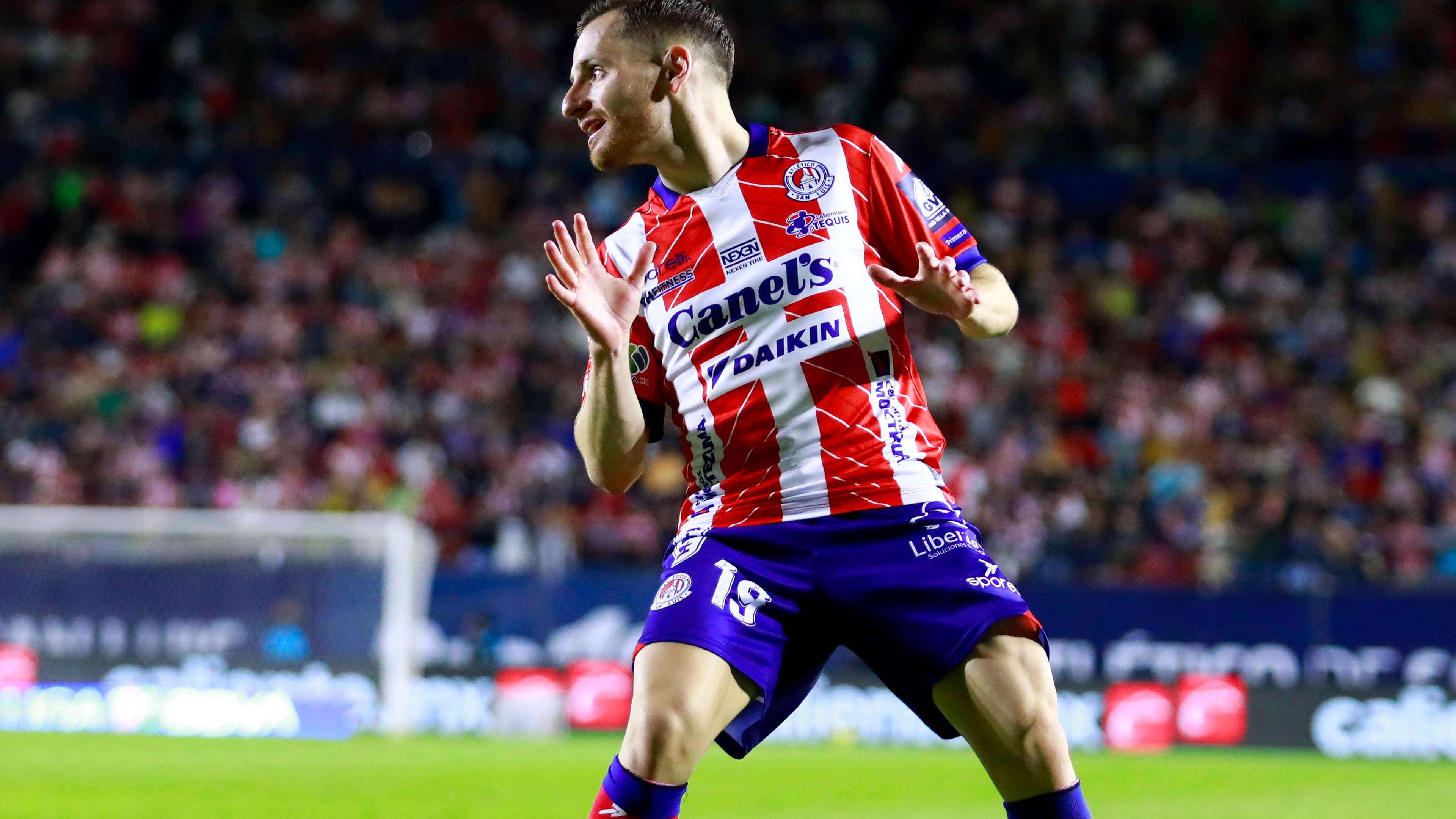 也证明了国 也证明了国